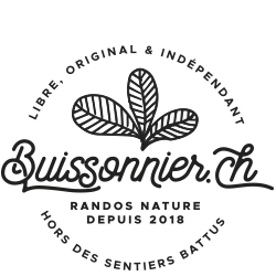 Buissonnier.ch