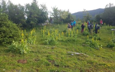 SAMEDI 2 jUILLET 2022 /// BALADE ARCHEOLOGIQUE A CHÂTEL D&rsquo;ARRUFENS